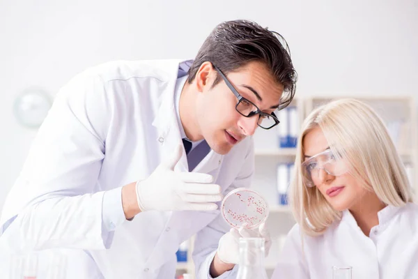 Due chimici che discutono in laboratorio — Foto Stock
