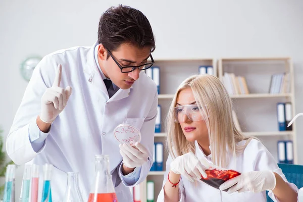 Donna medico femminile guardando campioni di sangue in borsa — Foto Stock