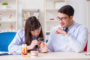 Öğrenci diş yapısını açıklayan diş hekimi