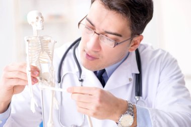 Doktor iskelette insan vücudunu açıklıyor.