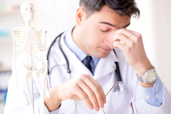 Doctor explaining human body on skeleton — Stock Photo, Image