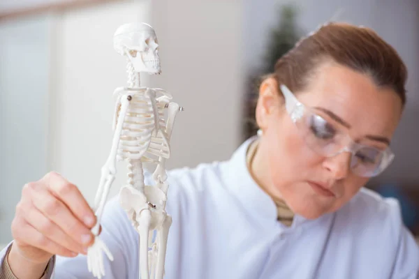 Woman doctor studying human skeleton — Stock Photo, Image