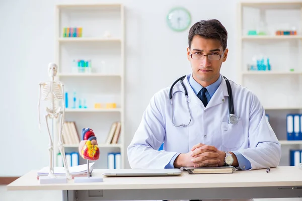 Médico explicando o modelo do coração — Fotografia de Stock