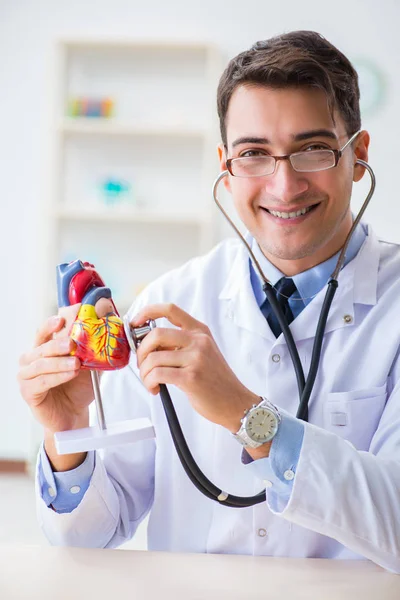 Doctor explaining the heart model — Stock Photo, Image