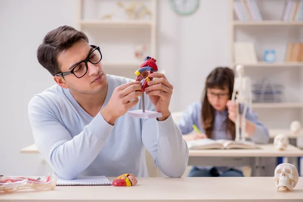 Twee studenten geneeskunde studeren in de klas — Stockfoto