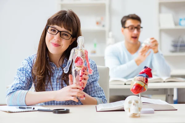 Dois estudantes de medicina que estudam em sala de aula — Fotografia de Stock