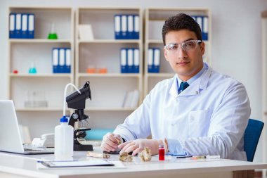 Paleontolojist soyu tükenmiş hayvan kemiklerine bakıyor