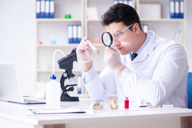 Paleontolojist soyu tükenmiş hayvan kemiklerine bakıyor