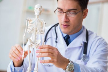 Doktor öğrenci iskeletin kemiklerini inceliyor.