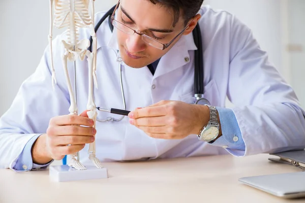 Studente medico che studia le ossa dello scheletro — Foto Stock