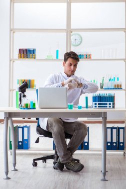 Kimya laboratuvarında deneyler yapan bir erkek öğrenci.