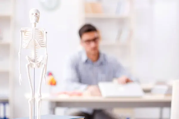 Medicinsk student studerar skelettet — Stockfoto
