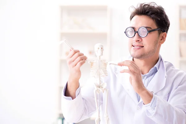 Médico loco estudiando esqueleto humano — Foto de Stock