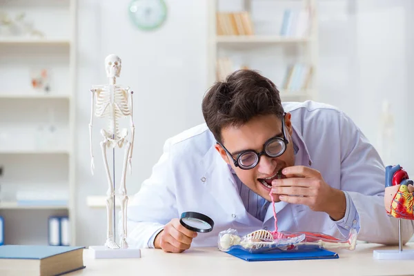 Gekke dokter die menselijk skelet bestudeert — Stockfoto