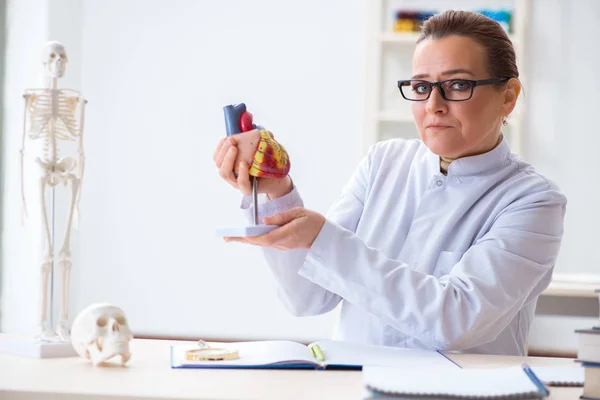 Doctor lecturer explaining various parts of heart — Stock Photo, Image