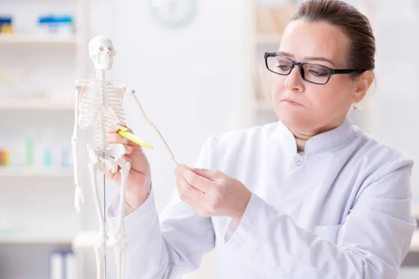 Ärztin untersucht menschliches Skelett — Stockfoto