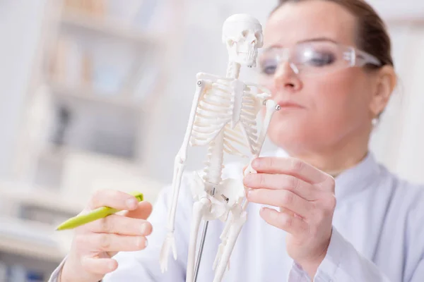 Doctora estudiando esqueleto humano — Foto de Stock