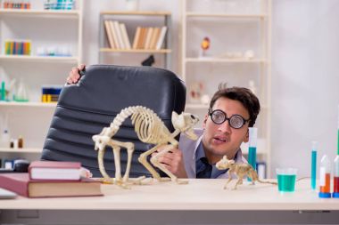 Funny scientist with cat skeleton in lab clinic clipart