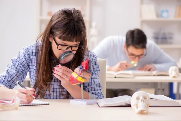 Twee studenten geneeskunde studeren in de klas — Stockfoto