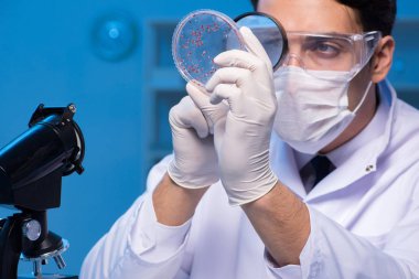 Kimya asistanı kimya laboratuvarında çalışıyor.