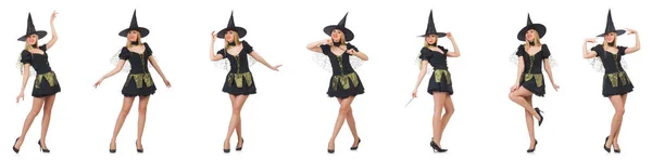 Beautiful witch in black dress isolated on white — Stock Photo, Image