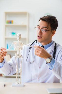 Doktor öğrenci iskeletin kemiklerini inceliyor.