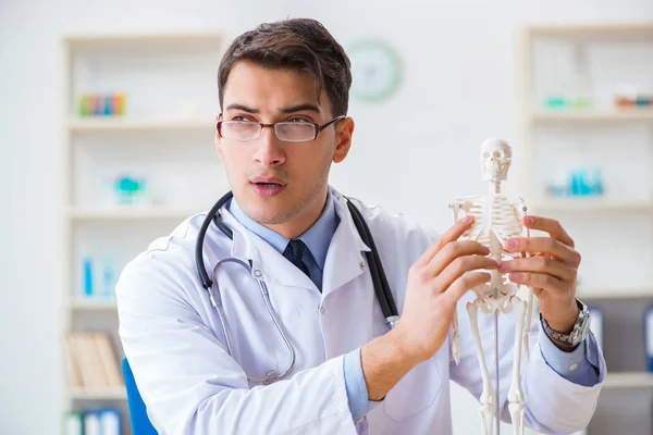 Estudiante de medicina estudiando los huesos del esqueleto — Foto de Stock