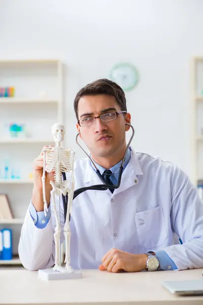 Estudiante de medicina estudiando los huesos del esqueleto — Foto de Stock