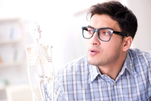 Estudiante de medicina estudiando el esqueleto — Foto de Stock