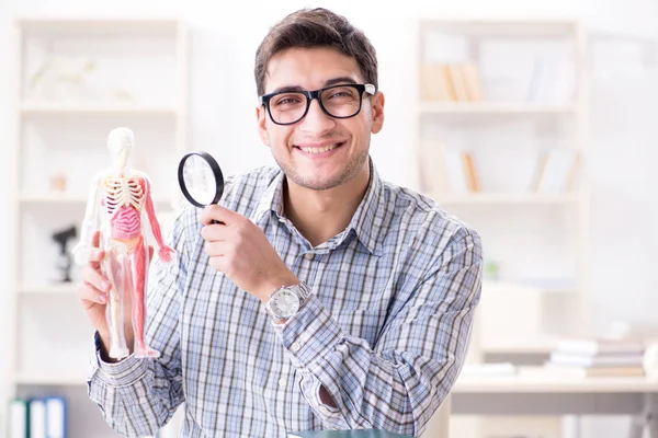 Estudiante de medicina estudiando el esqueleto — Foto de Stock