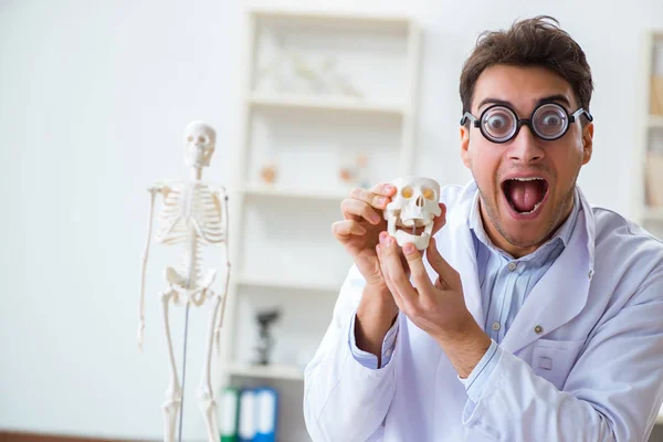 Médico louco estudando esqueleto humano — Fotografia de Stock