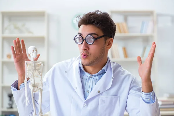 Crazy doctor studying human skeleton — Stock Photo, Image