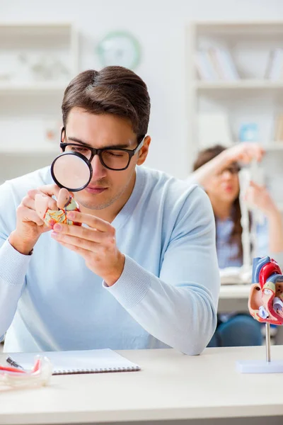 Two medical students studying in classroom