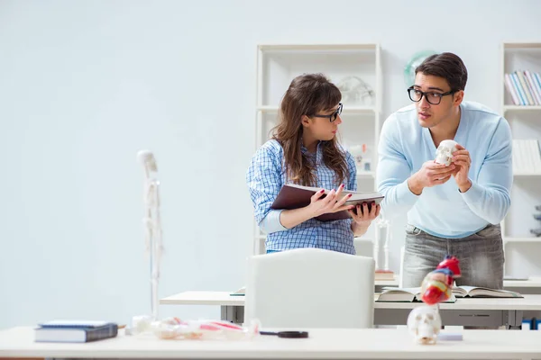 Due studenti di medicina che studiano in classe — Foto Stock