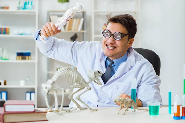 ученый изучающий бактерии. исследование микробов. с н виноградский хемосинтез. микроорганизмы в лаборатории. микроорганизмы в медицине.