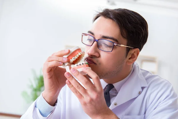 Funny dentist with teeth model in hospital