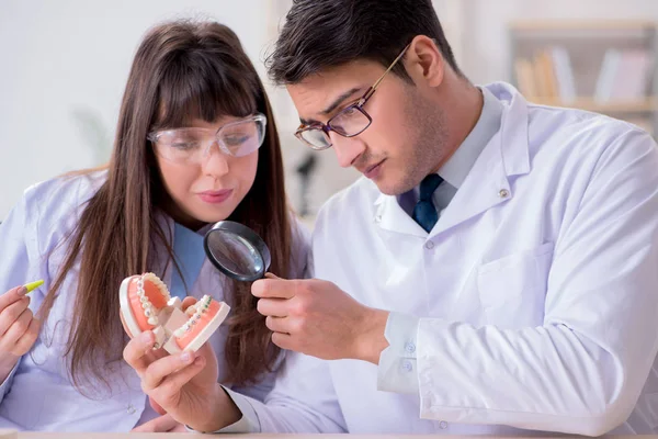 Стоматолог пояснює структуру зуба студента — стокове фото