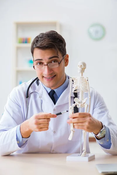 Doctor student studying the bones of skeleton — Stock Photo, Image