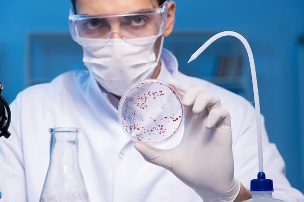 Doctor investigando nuevo virus en el laboratorio por la noche —  Fotos de Stock