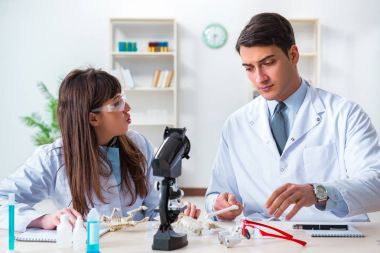 Paleontologlar nesli tükenmiş hayvanların kemiklerini inceliyor.