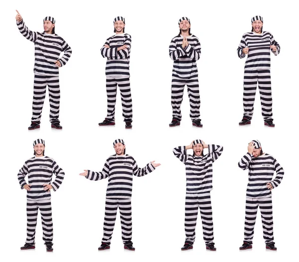 Prison inmate isolated on the white background — Stock Photo, Image