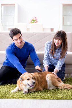 Golden retriever köpeğiyle mutlu bir aile