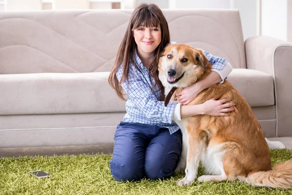 Lycklig kvinna hund ägare hemma med golden retriever — Stockfoto