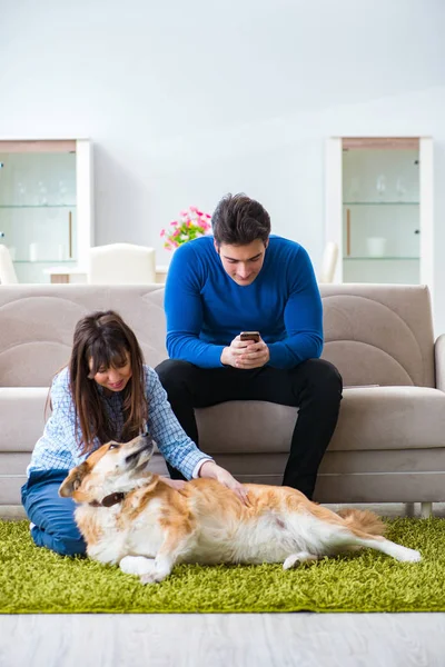 Szczęśliwa rodzina z psem golden retriever — Zdjęcie stockowe
