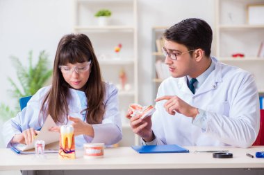 Öğrenci diş yapısını açıklayan diş hekimi