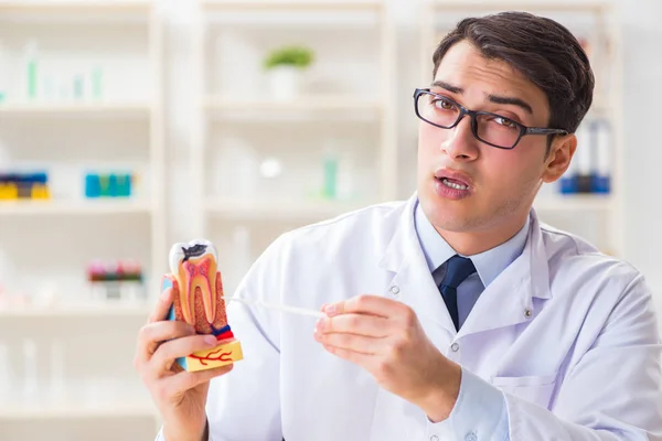 Joven dentista trabajando en el hospital de odontología — Foto de Stock