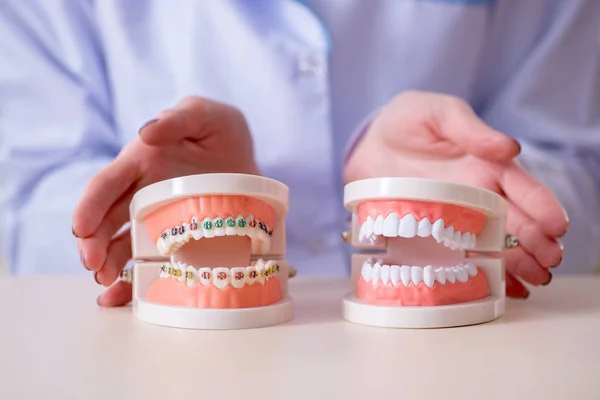 Zahnarzt praktiziert Arbeit am Zahnmodell — Stockfoto