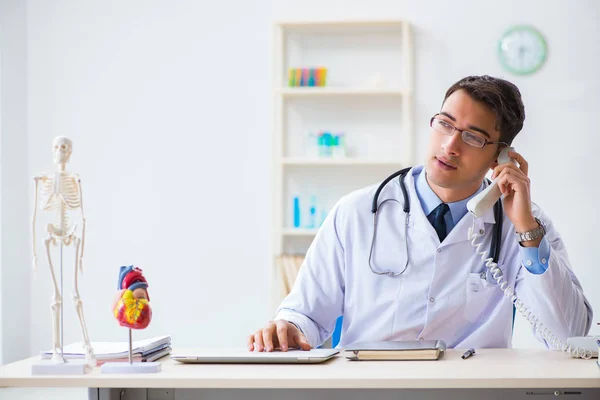 Médico explicando o modelo do coração — Fotografia de Stock