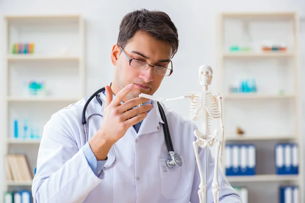 Doctor student studying the bones of skeleton — Stock Photo, Image