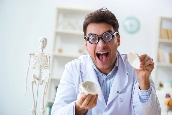 人間の骨格を研究するクレイジー医師 — ストック写真